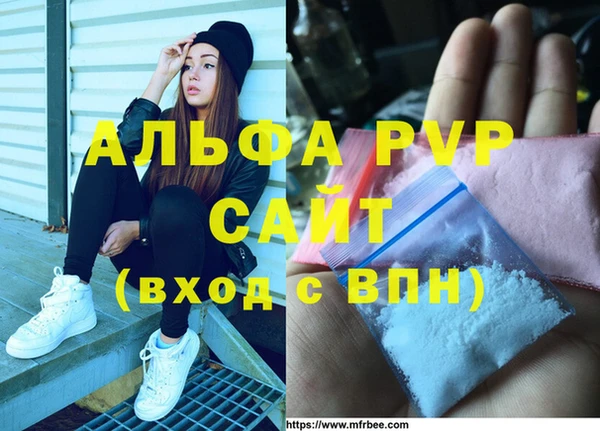 ПСИЛОЦИБИНОВЫЕ ГРИБЫ Вяземский