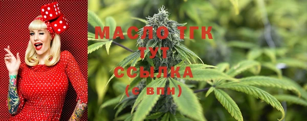 ПСИЛОЦИБИНОВЫЕ ГРИБЫ Вяземский