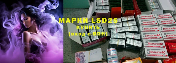 ПСИЛОЦИБИНОВЫЕ ГРИБЫ Вяземский